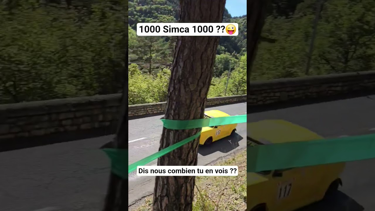 1000 Simca 1000 ??  😜💥             #rally #motorsport #racing #simca #simca1000 #sportauto