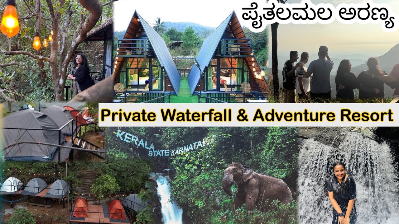 ಜಂಗಲ್ ರೆಸಾರ್ಟ್ Holistic Eco Resort  #kannur Resort #Adventure Trekking #junglesafari 