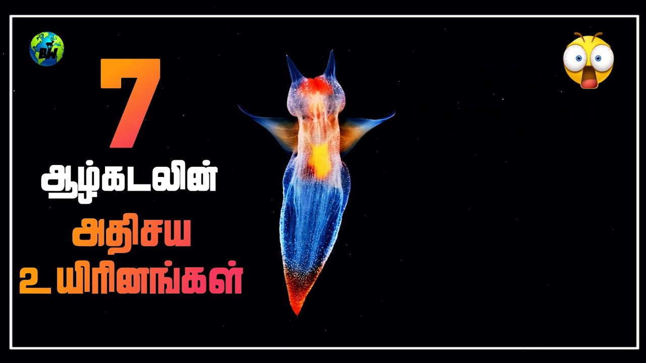 ஆழ்கடலின் 7 அதிசய உயிரினங்கள் | 7 Amazing Sea Creatures in the world | Tamil | BioWorld | Bw