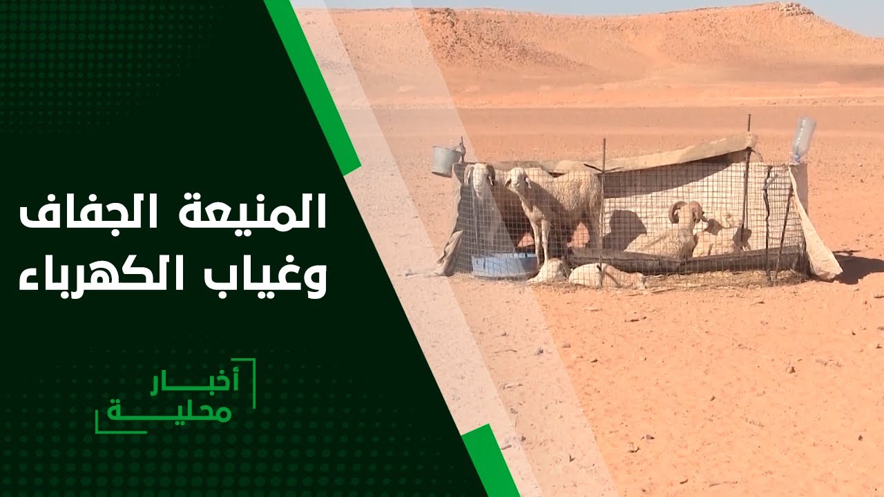 المنيعة : مزارعون وموالون في رحلة بحث عن الأعلاف في ظل غياب الكهرباء بحاسي الفحل .