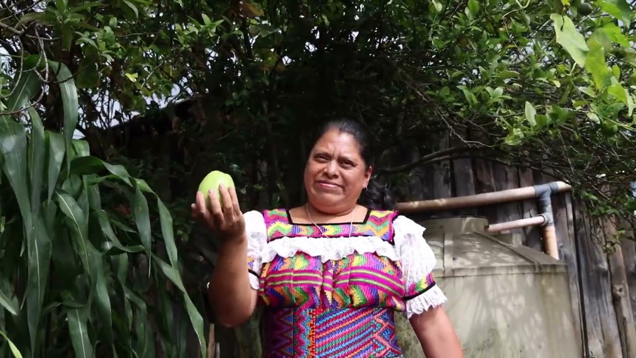 Cultivando Futuro en Sololá - LiteFarm