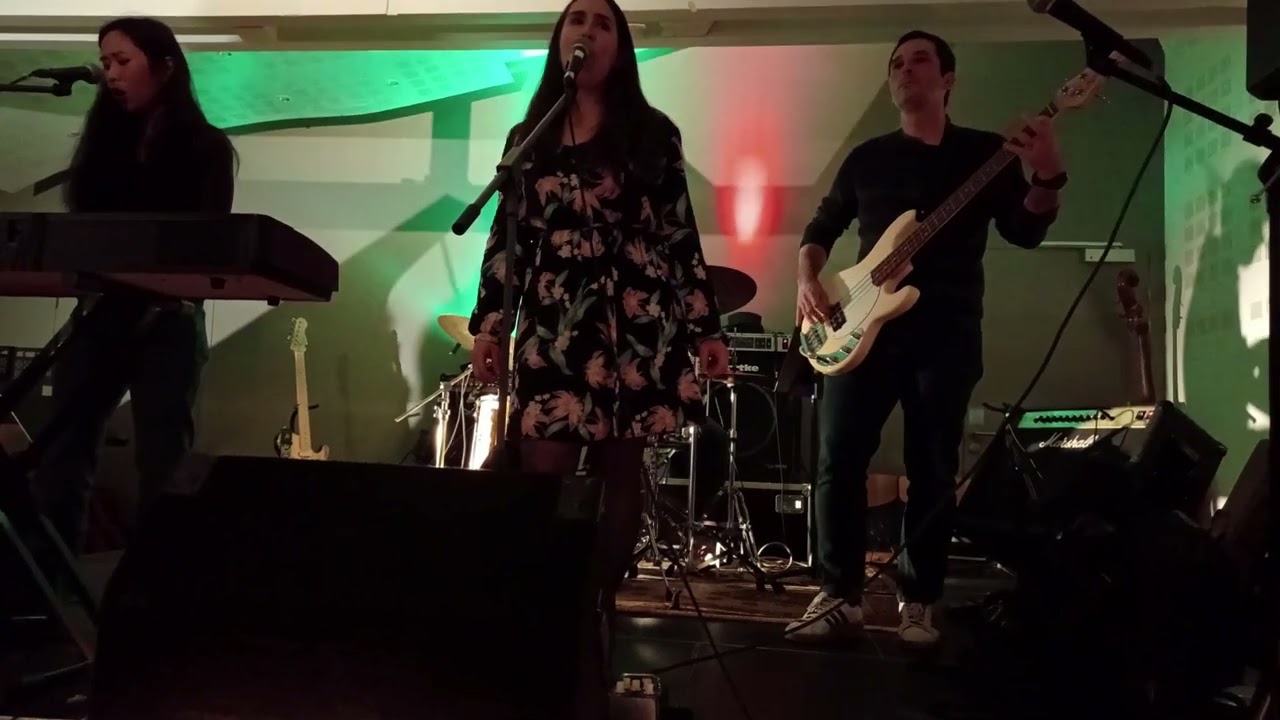 Wild World - Cat Stevens - Cover by Yellin Deers (EMU 2026)