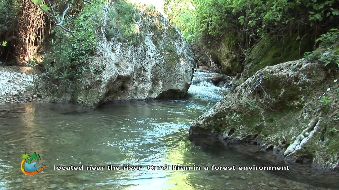 zaouia
