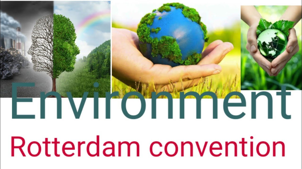ENVIRONMENT/Rotterdam Convention/#UPSC /# PCS/# SSC/# INDIA