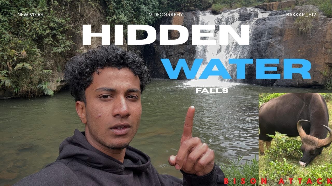 Kundha waterfalls ooty ⛰️🌲bison attack 🦬😤