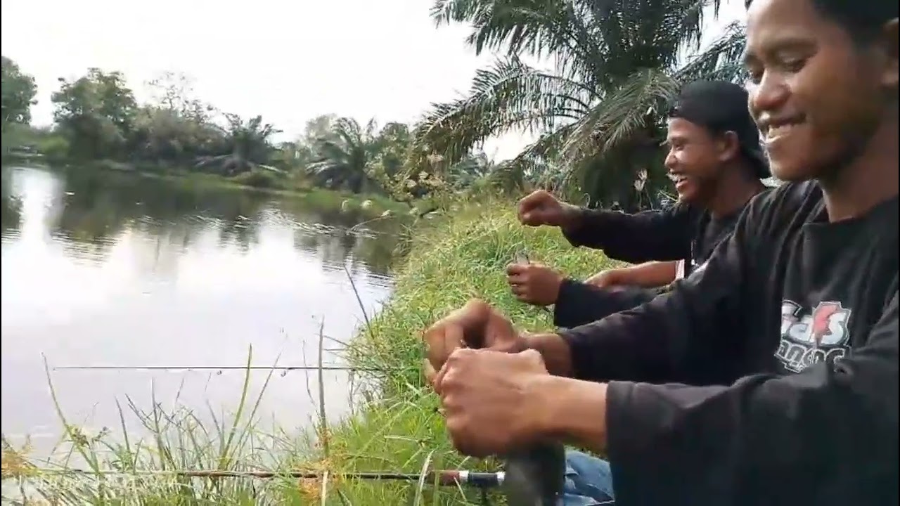 @buka baru kolam wak Udin paluh 80 minggu tgl 14-02-2026 jam 10 malam tiket 150k