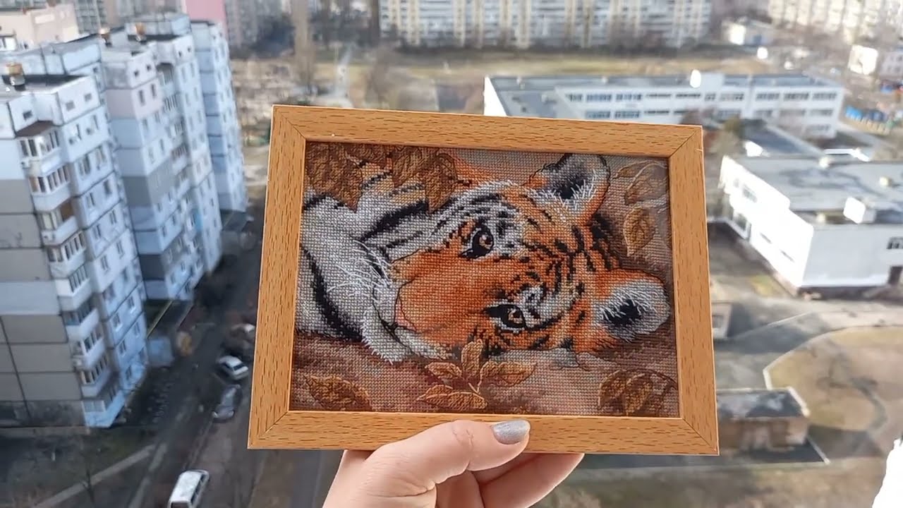 Beguiling Tiger DIMENSIONS &mdash; неожиданное оформление за копейки