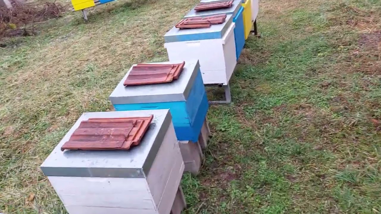 Ubacivanje pregradnih daski i kontrola zajednica drugi dan