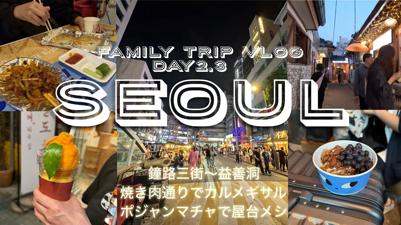【鐘路三街〜益善洞韓屋村 食べ歩き】SEOUL family trip Vlog Day2.3  [JPN, ENG]