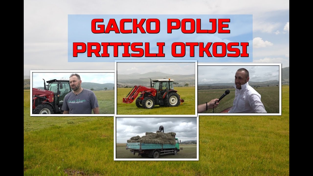 STOPAMA PREDAKA, Gacko polje pritisli otkosi