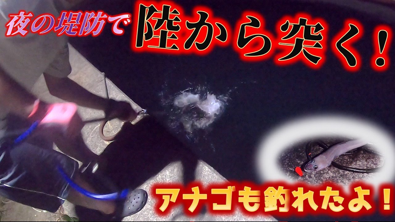 陸の上から魚突き！＆アナゴ釣ったけど映像ほぼ真っ暗なんで編集でふざけ過ぎたらギャグ動画になったのでぜひ最後まで見てほしい。【31話】
