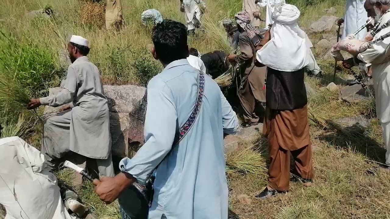 Hazara dohol