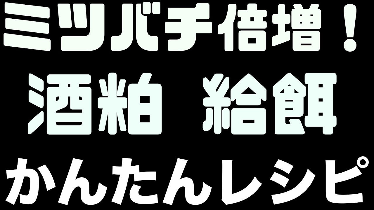簡単レシピ酒粕代用花粉　ミツバチ健康増進に最強の給餌方法　アカリンダニ予防効果　驚きのミツバチ増殖！！【日本ミツバチ庭先養蜂】【庭先養蜂家】【か式養蜂】