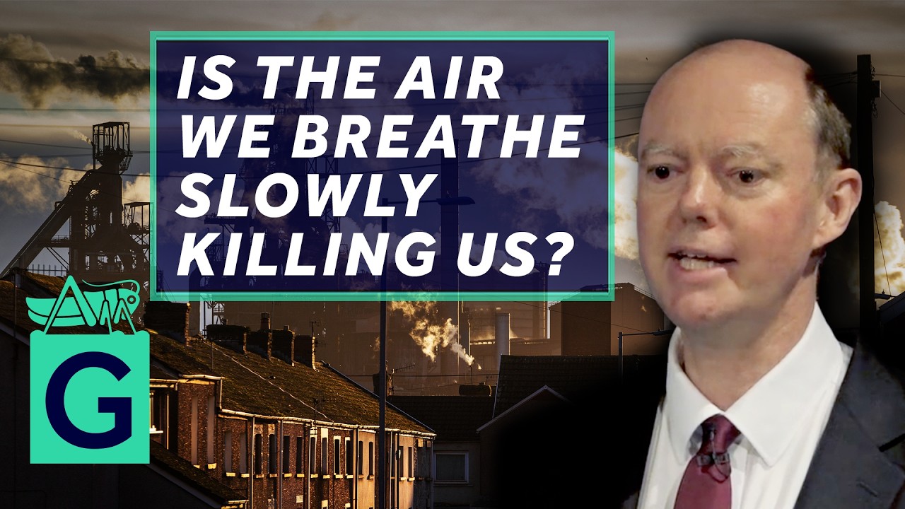 Air Pollution: Its Impact on Health and Possible Solutions - Chris Whitty