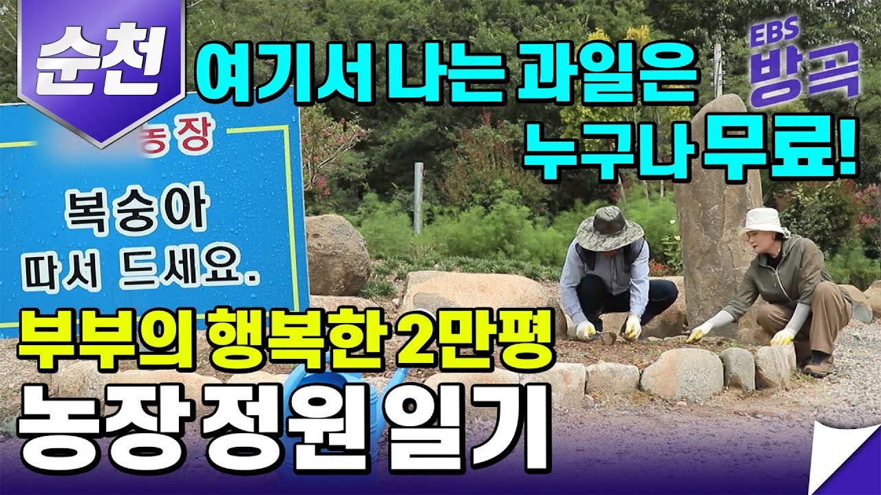 [전남 순천] 부부의 2만 평 농장 정원 일기 | 여기서 나는 모든 과일 누구나 무료! | 한국기행 | #방방곡곡