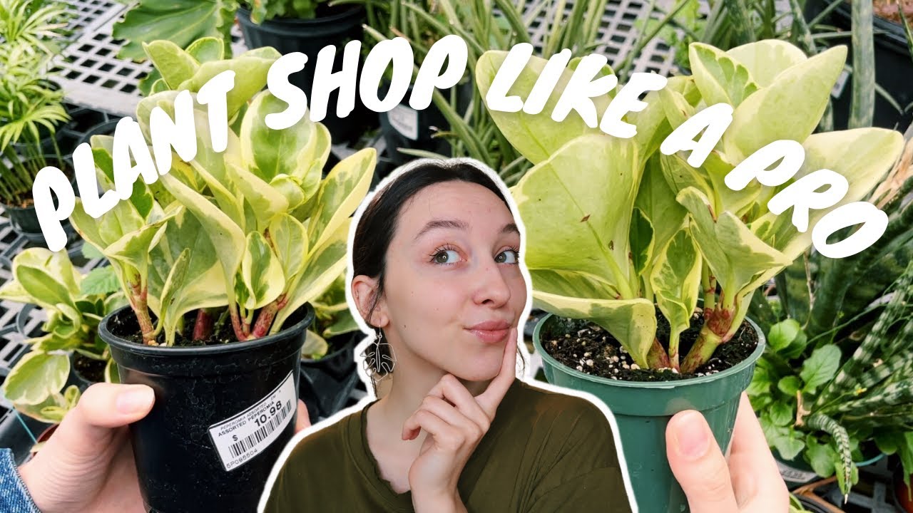 SECRETS TO CHOOSING A PLANT | watch this before going plant shopping again!