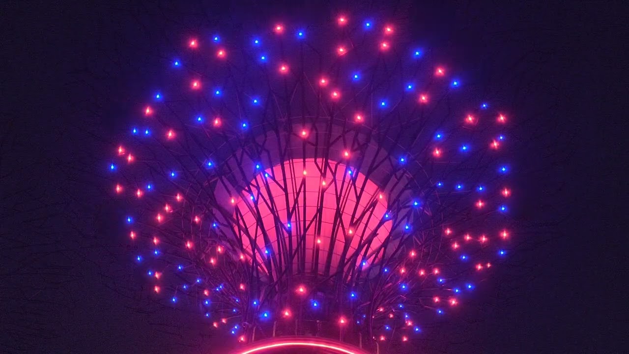 Gardens by the Bay Super Tree show Singapore 2026