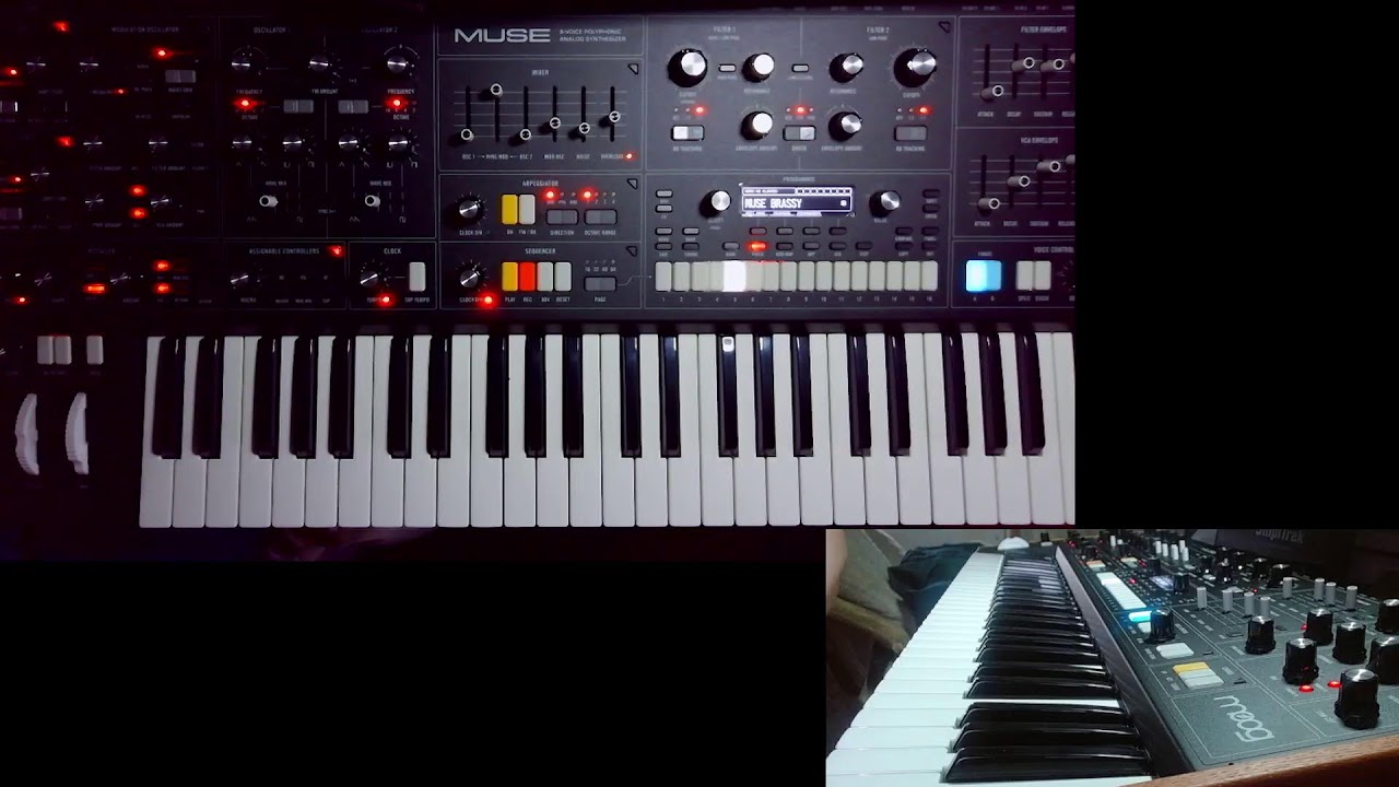 New Synth Day MOOG MUSE Synthesizer 1st switch on