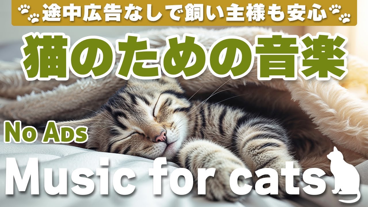 猫が落ち着く音楽｜留守番中も安心できるBGM（12時間・途中広告なし）Relaxing Music for Cats | No Ads | 12 Hours _vol.335