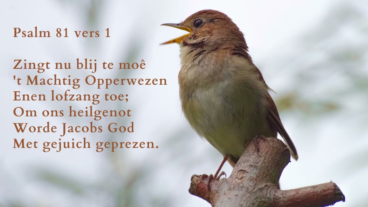 Psalm 81 vers 1, 2, 7 en 12 - 