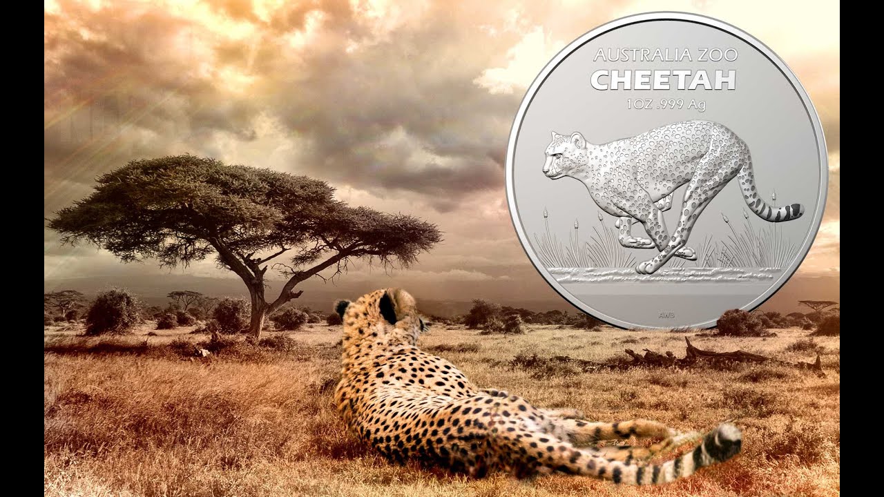 2021 Australia Zoo Cheetah 1oz Silver Coin Review
