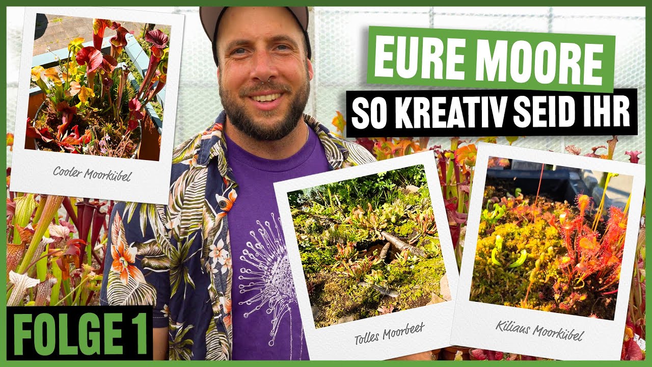 Community Moore - Eure genialen Projekte, Moorbeet Träume werden wahr! #308