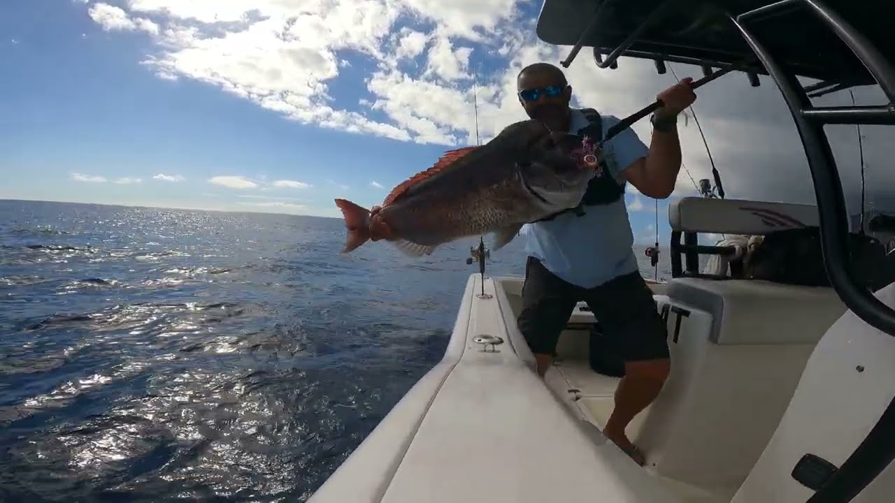 JLC NAUTILUS VS 8kg Snapper #JLC #fishpointmadeira
