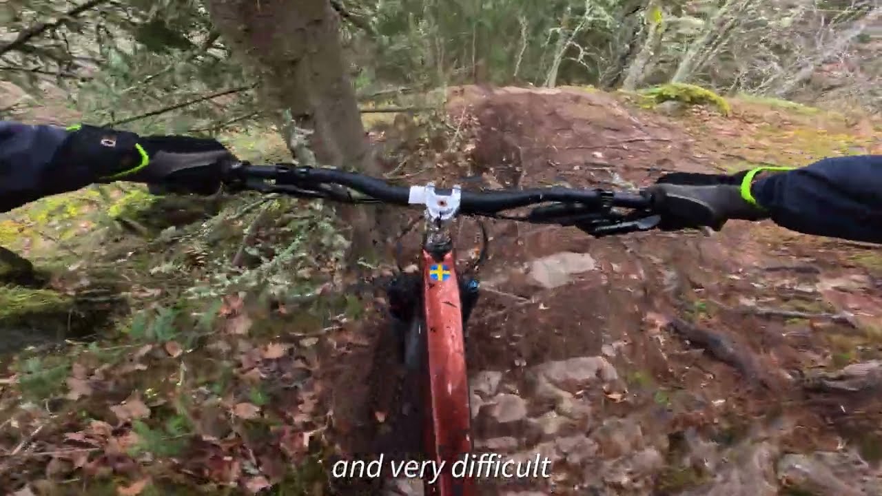 These trails are awesome! | Kisa MTB Park