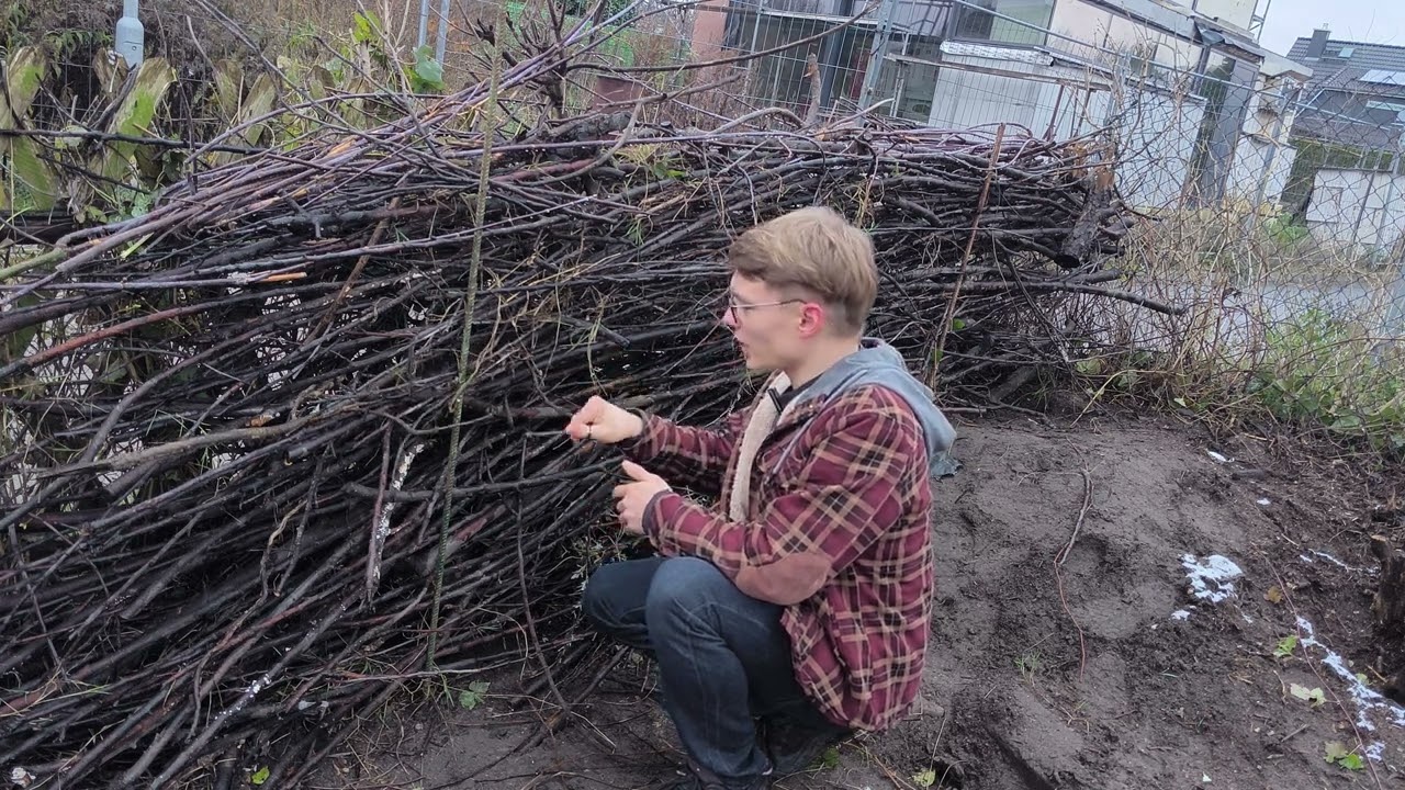 Warum Ihr NIE! Flieder (Syringa vulgaris) Pflanzen solltet! #04 Kleines Update!