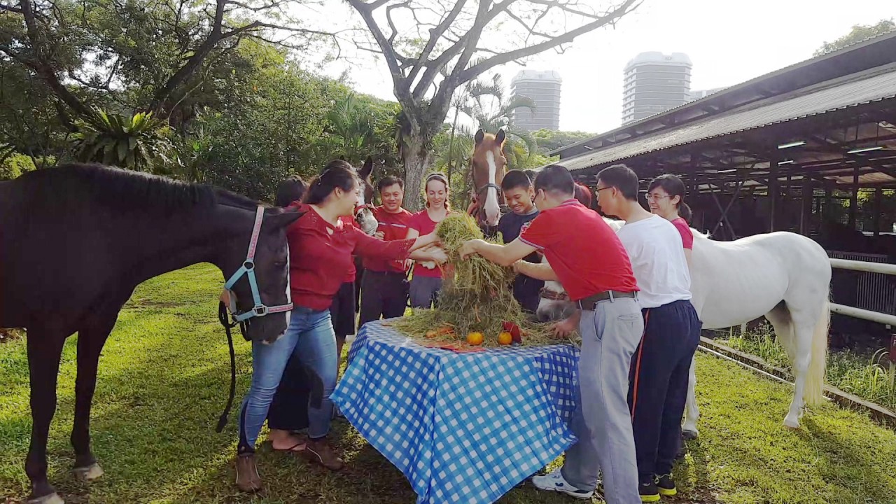 RDA Lo-HAY with feathered friends to welcome the Rooster Year!
