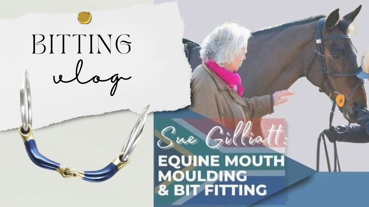 EQUINE MOUTH MOULDING & BIT FITTING CLINIC with Sue Gilliat | Bombers Bits