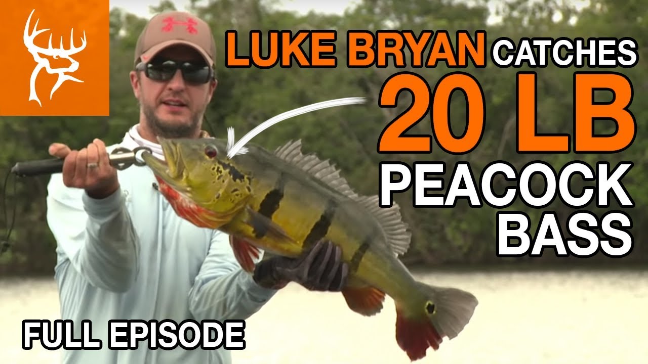 LUKE BRYAN CATCHES 20 LB PEACOCK BASS | Buck Commander | Full Episode