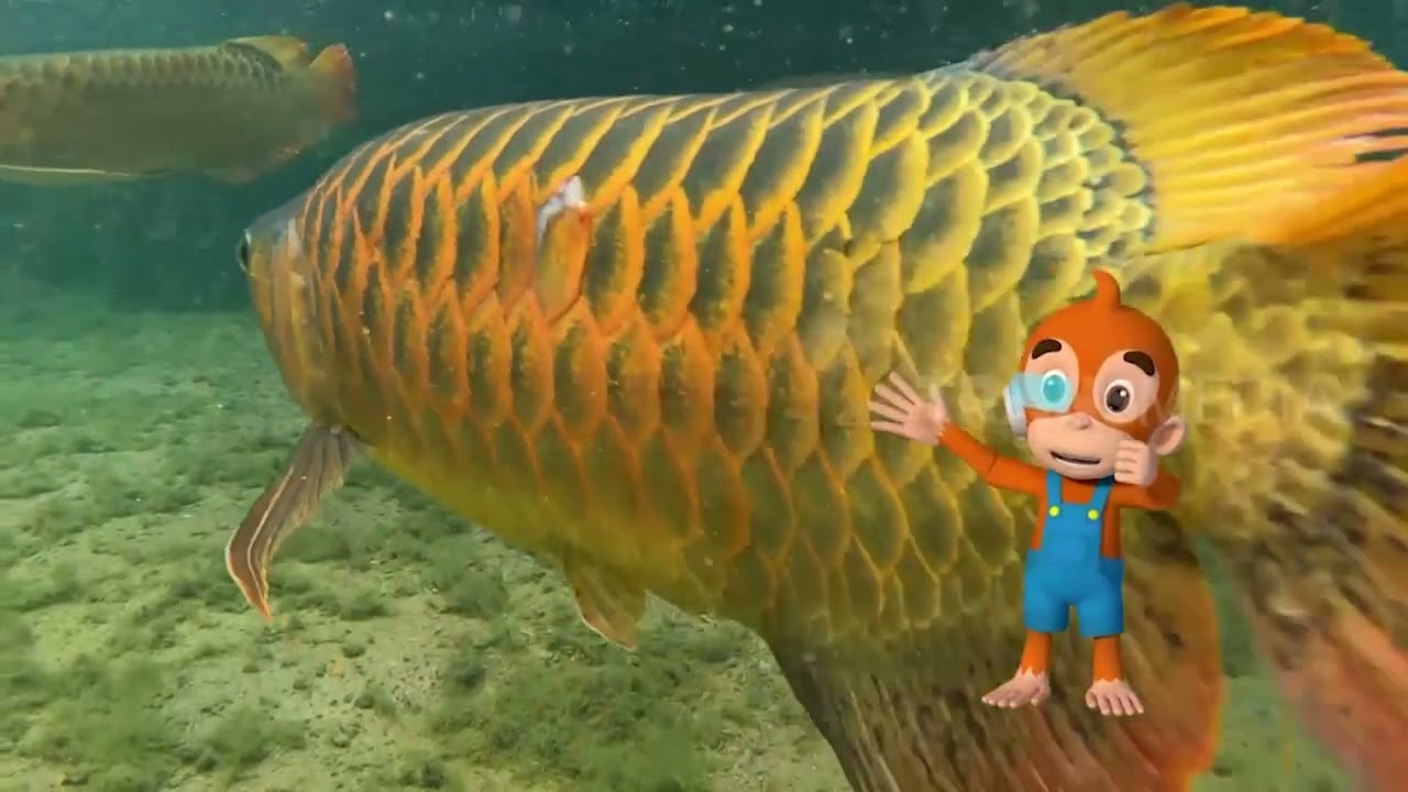 Arwana Si Ikan Hias Brutal | SI OTAN (04/05/23)
