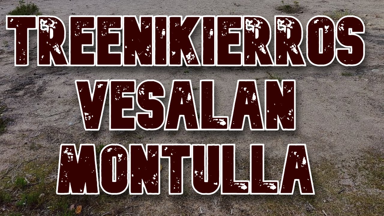 Treenikierros Vesalan Montun PDPT MPO leiskalla ft. Oskari Vikström, Samuel Hänninen, Tuomas Autio