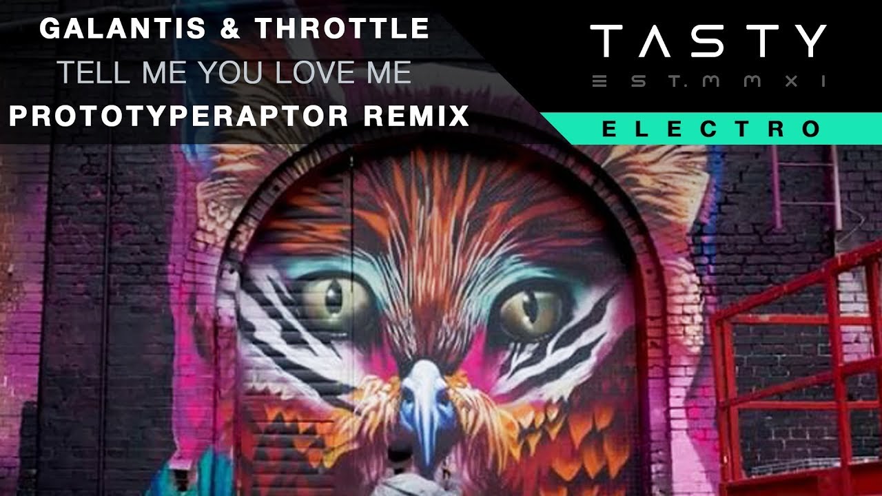 Galantis & Throttle - Tell Me You Love Me (PrototypeRaptor Remix)