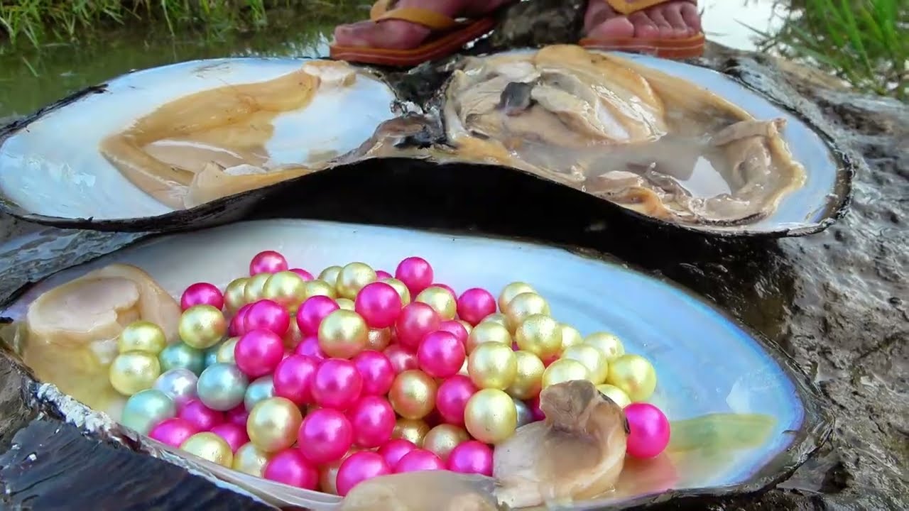 Mystical Encounter: Girl's Quest Ends with a Giant Clam Filled with Diamonds & Radiant Pearls!