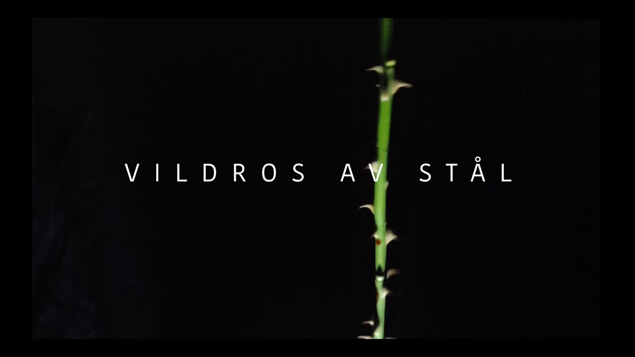 Våning 6 - Vildros Av Stål (featuring Crippa)
