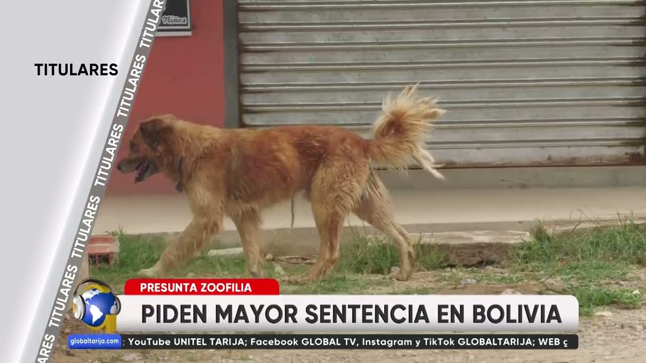 TITULARES GLOBAL TARIJA viernes 6 de marzo de 2026