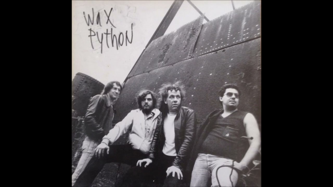 wax python - you loose your time