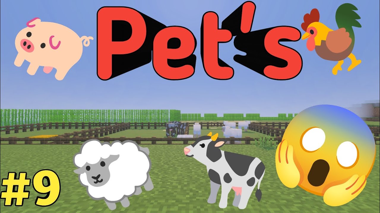 Minecraft Survival siris #9 || collect all friendly pet's 🐄🐎🐖🐓🐑🥱