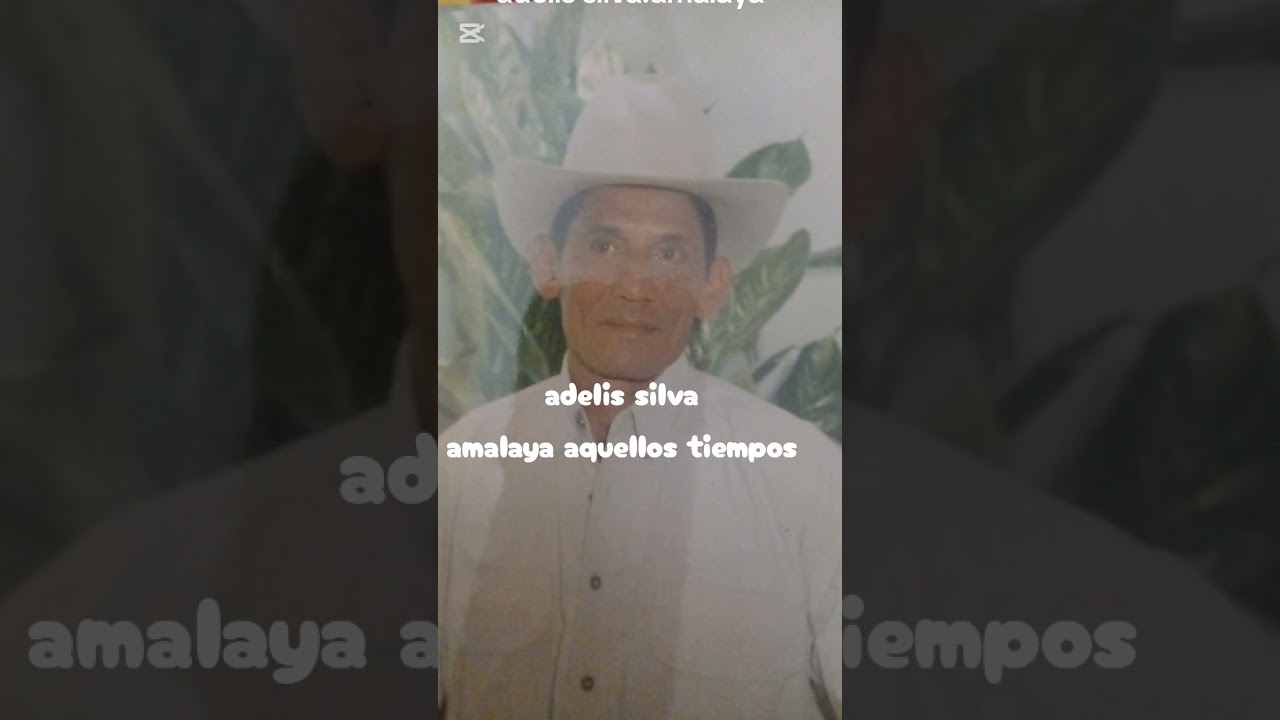 Adelis silva amalaya