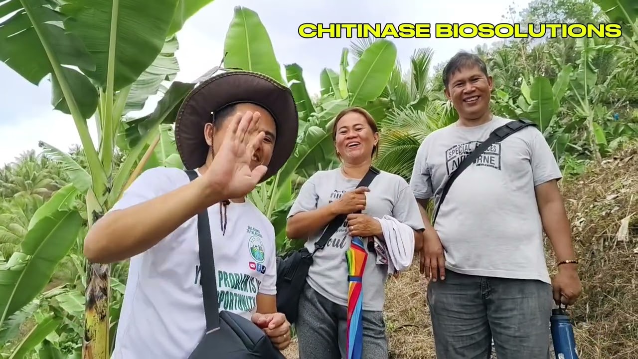Natural na Proteksyon: Paano nalunasan ni Ma'am Helen ang mga sakit ng Saging? Alamin Ngayon...