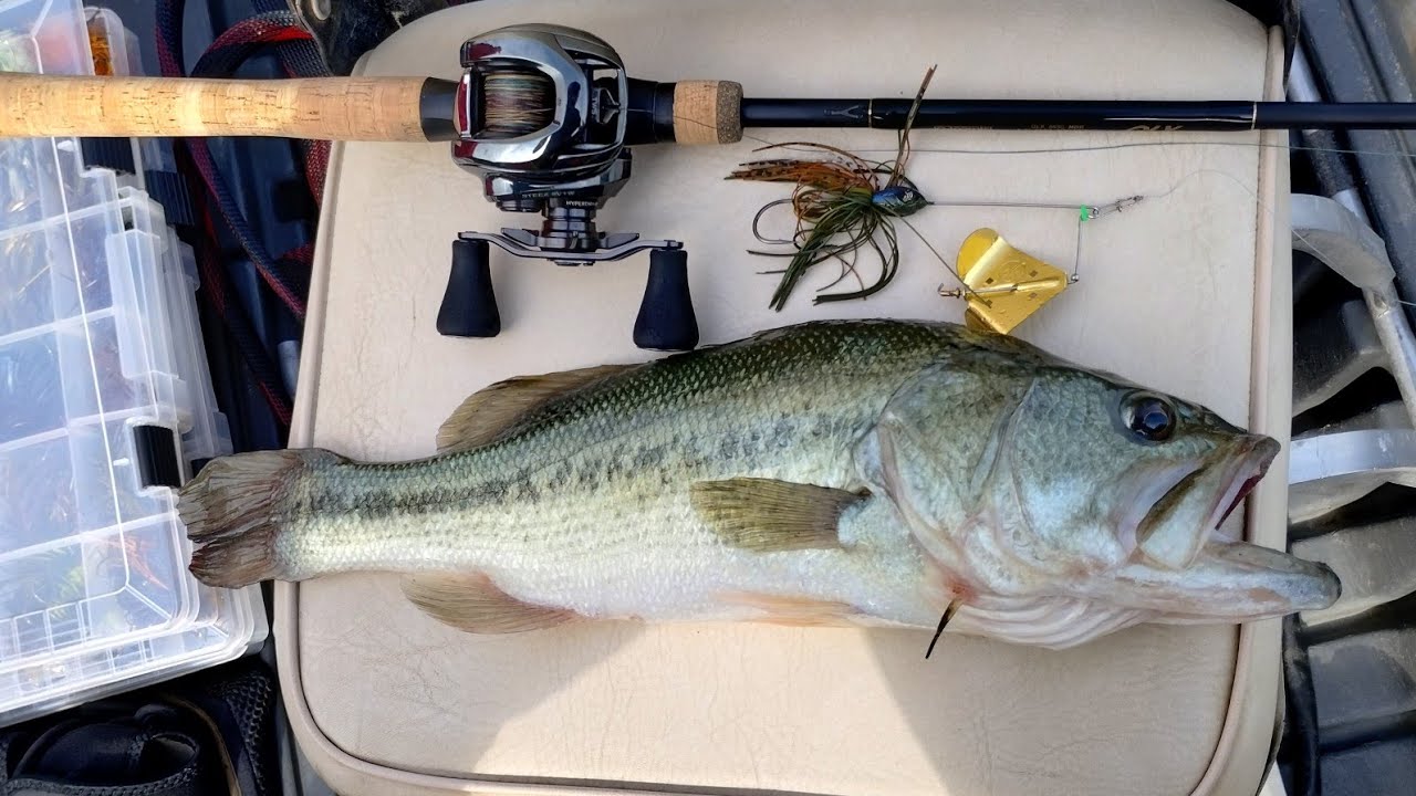 Beat the Heat Topwater Morning Bite
