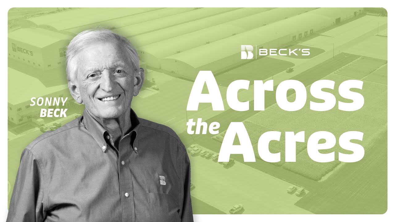 Оглядываясь назад, растём вперёд: идеи Сонни Бека | Across the Acres