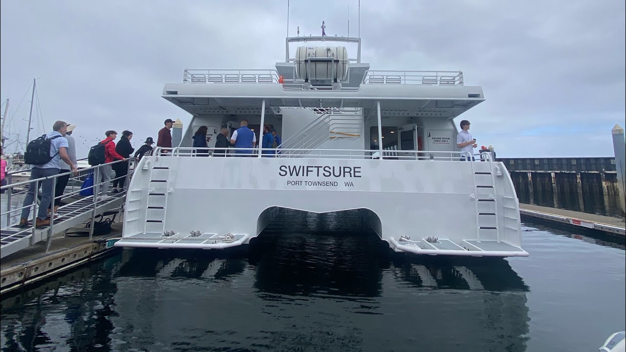 Whale Watching:  Puget Sound Express: Edmonds, WA: Kooky Campers Travel America 2023