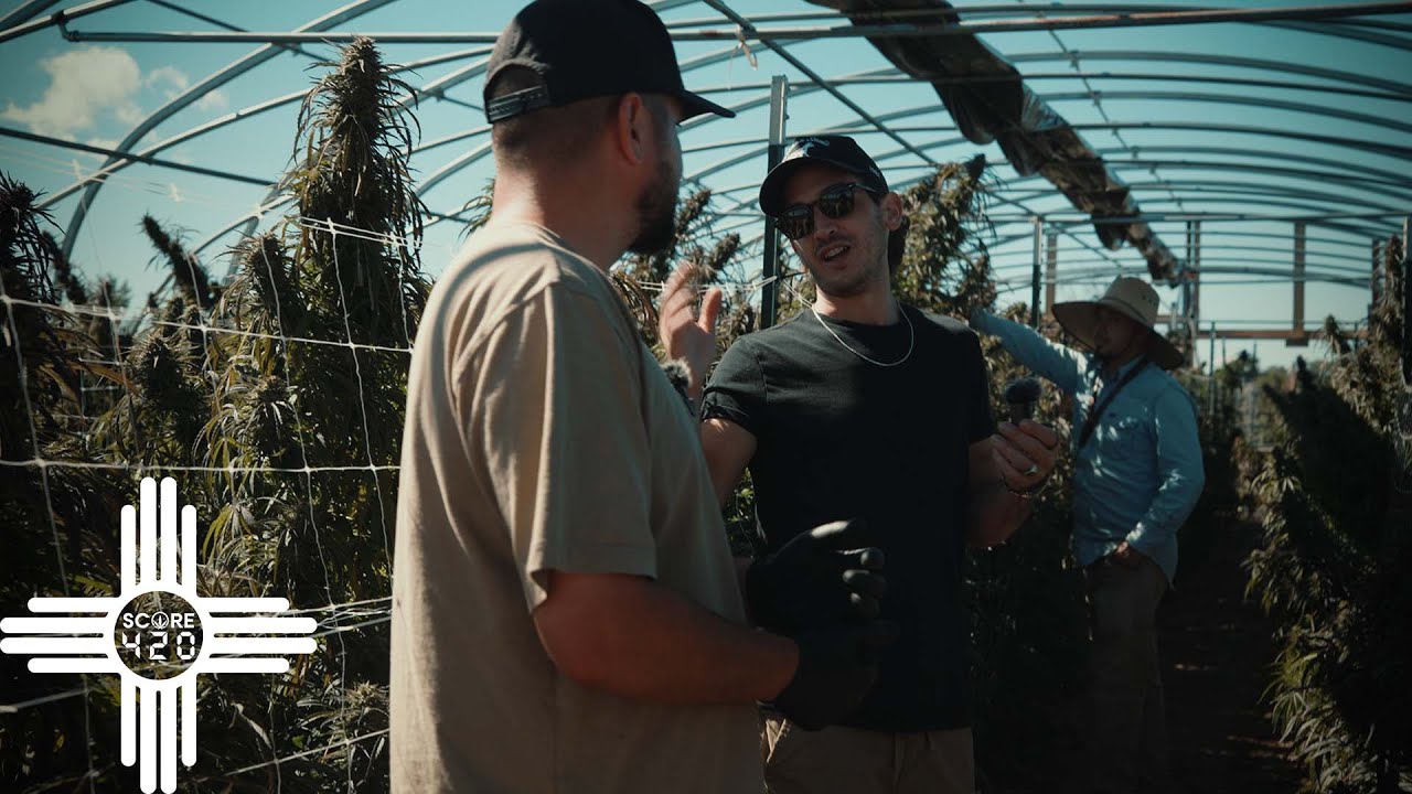 New Mexico Grown // Score420 x True Roots NM - Pt. 1