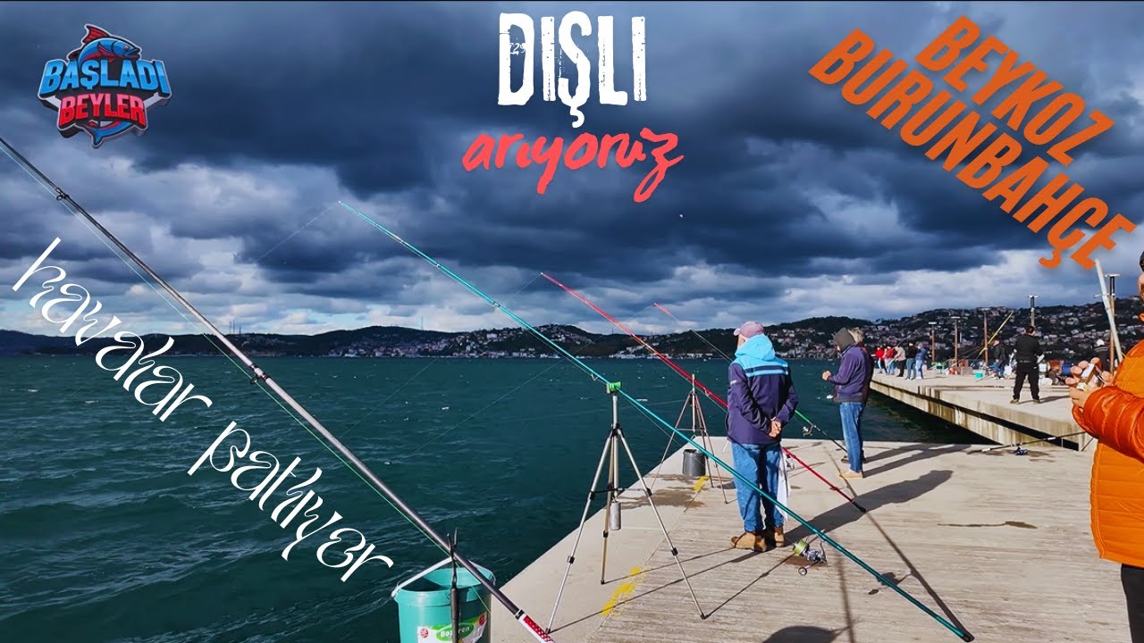 BEYKOZ İSTAVRİT VE YEMLİ DİŞLİ AVI #balıkavı #istanbul #istavrit #çinekop #deniz #öneçıkar #boğaz