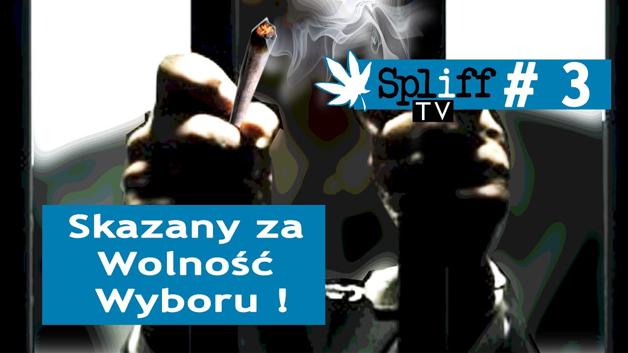 Skazany za Wolność Wyboru! - Grubson, Metrowy, dj feel-x - Spliff TV (3)