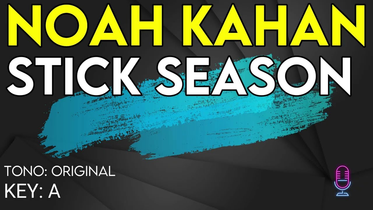 Noah Kahan - Stick Season - Karaoke Instrumental