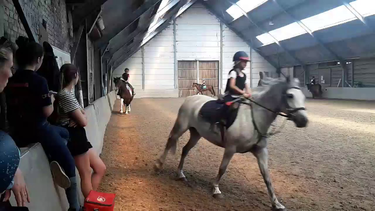 Ik die van mijn paard val😅😅